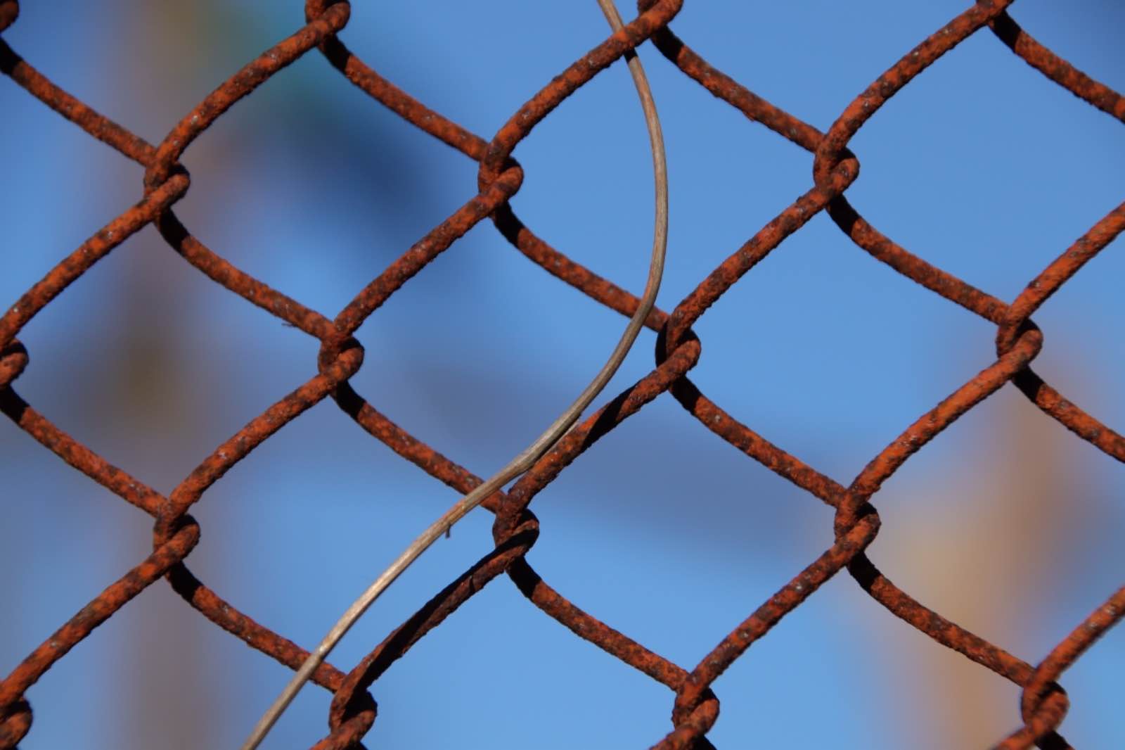 A Chain linked Fence